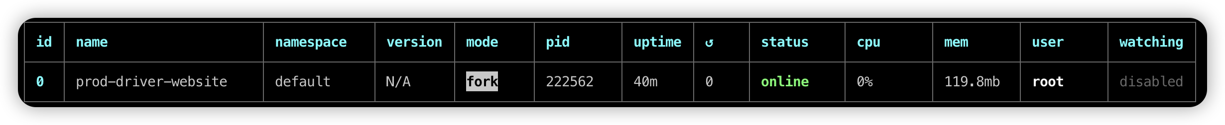 pm2 list 程序列表