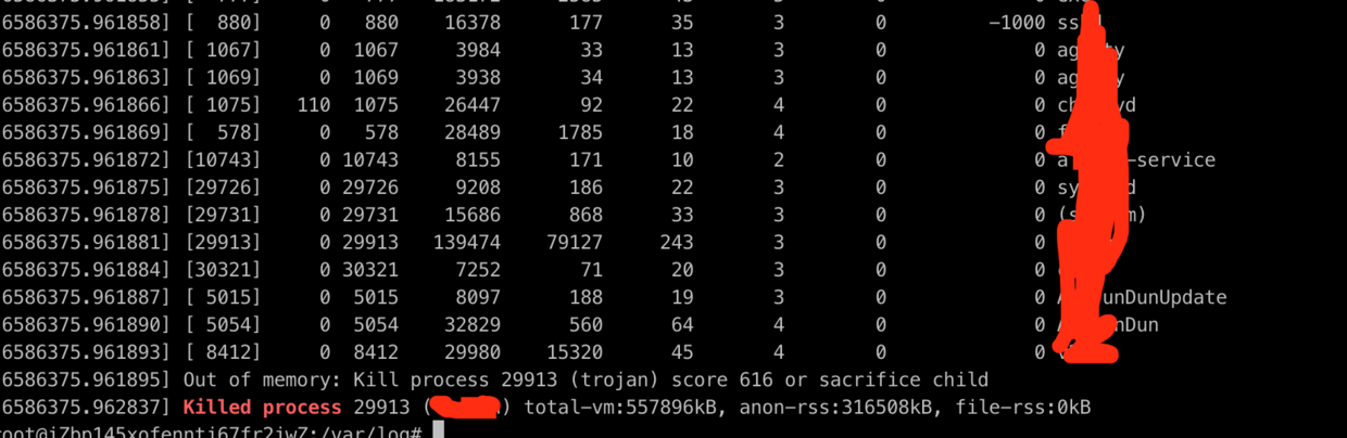 linux的灵异操作-dmesg 运行结果